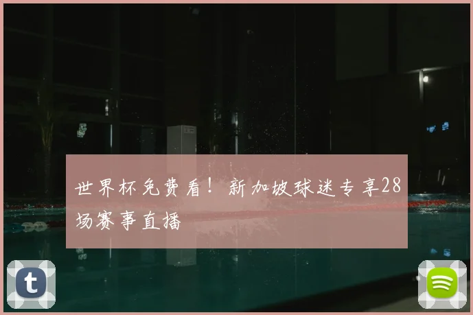 世界杯免费看!新加坡球迷专享28场赛事直播