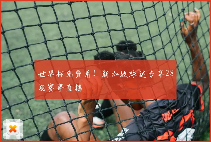 世界杯免费看！新加坡球迷专享28场赛事直播